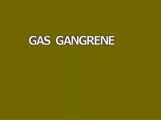 Gram staining of exudate from gas gangrene,