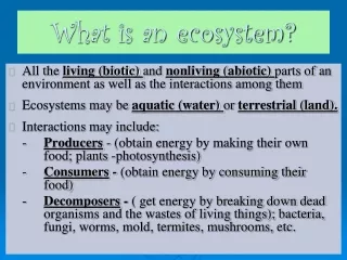 What is an ecosystem?