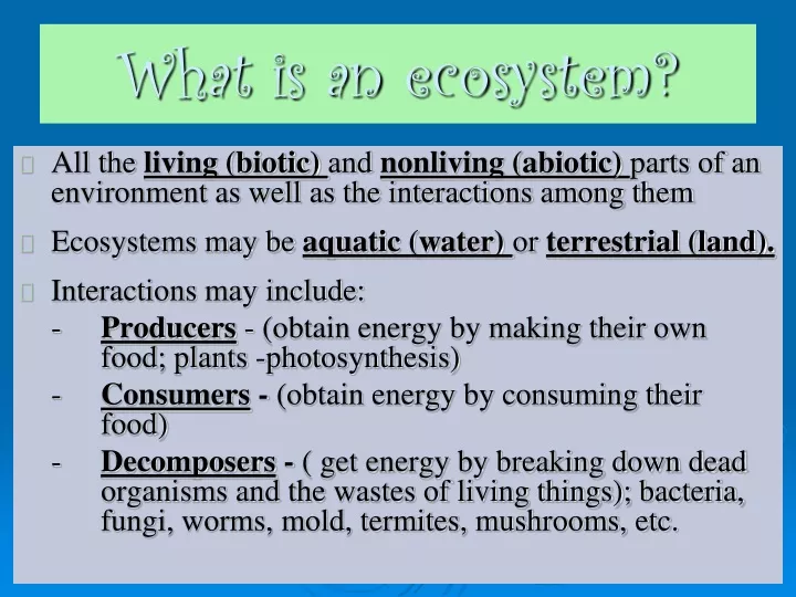 what is an ecosystem