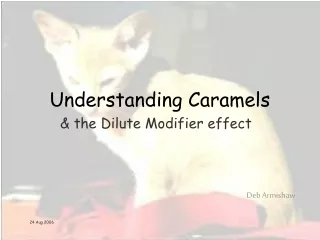 Understanding Caramels