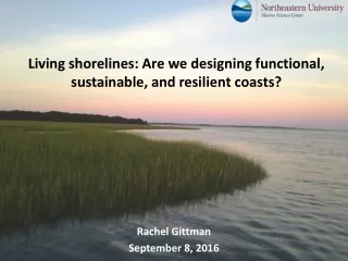 Living shorelines: Are we designing functional, sustainable, and resilient coasts?