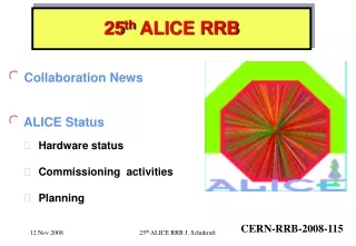 25 th  ALICE RRB