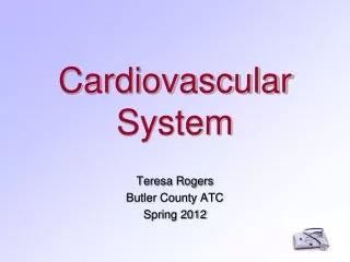 Cardiovascular System