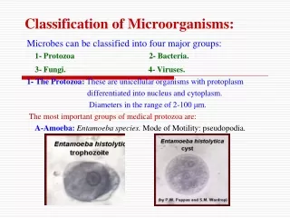 classification of microorganisms