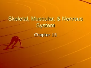 Skeletal, Muscular, &amp; Nervous System