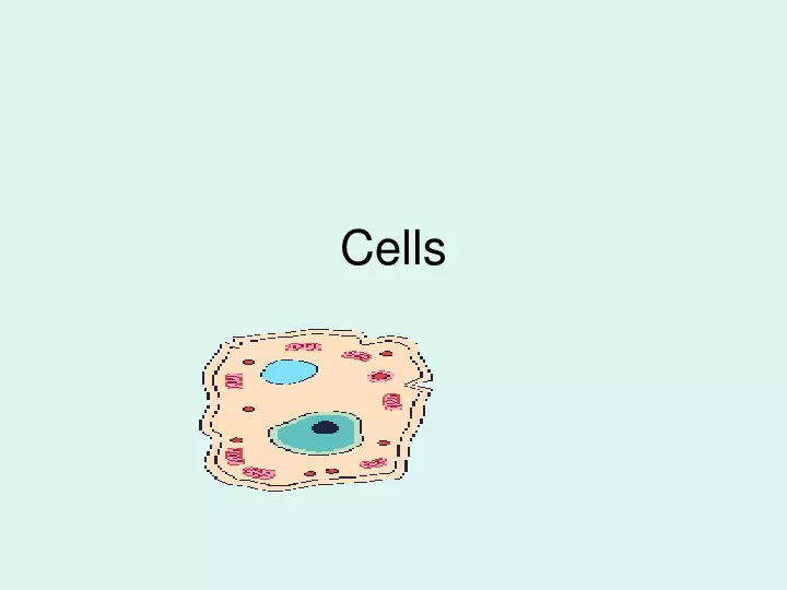 cells