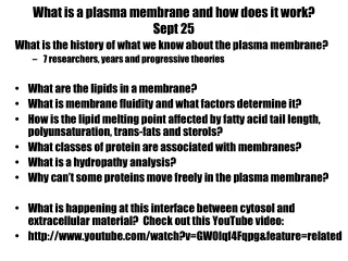 What is a plasma membrane and how does it work?   Sept 25