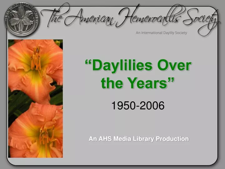 daylilies over the years 1950 2006