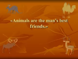 « Animals are the man’s best friends. »