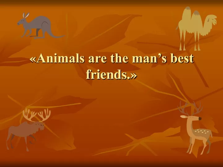 animals are the man s best friends