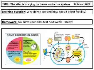 Learning question : Why do we age and how does it affect fertility?