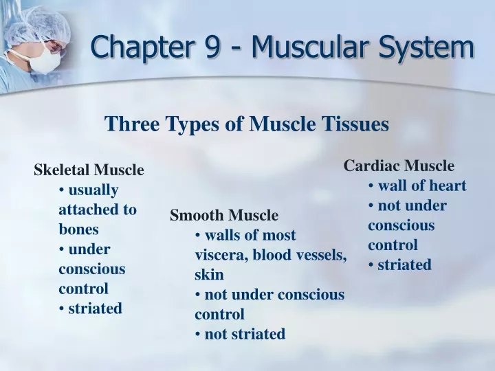 chapter 9 muscular system