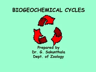 BIOGEOCHEMICAL CYCLES Prepared by Dr. G. Sakunthala Dept. of Zoology