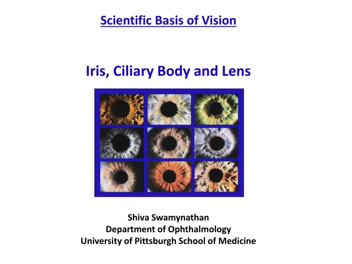 scientific basis of vision iris ciliary body