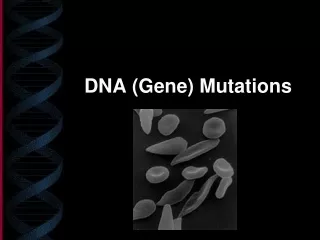DNA (Gene) Mutations