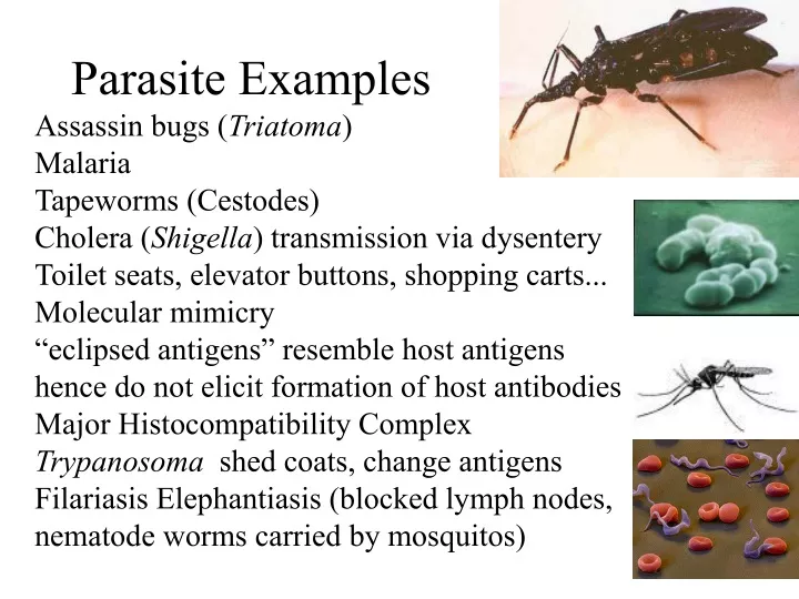 parasite examples assassin bugs triatoma malaria