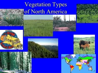 Vegetation Types  of North America