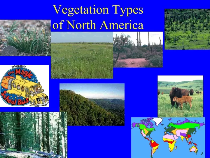 vegetation types of north america