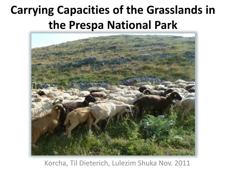 carrying capacities of the grasslands in the prespa national park