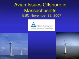 Avian Issues Offshore in Massachusetts    EBC November 28, 2007