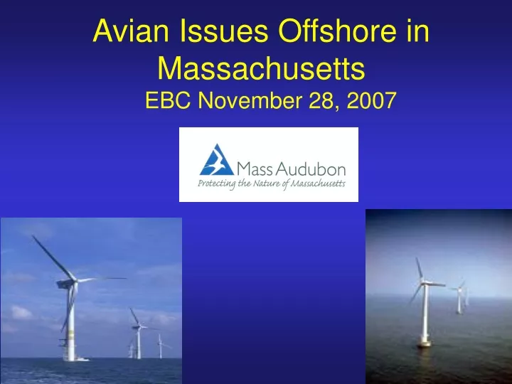 avian issues offshore in massachusetts