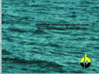Handsfree counting and classification of phytoplankton cells and colonies