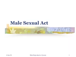 Male Sexual Act