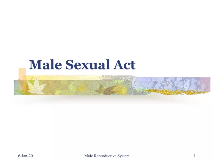 male sexual act