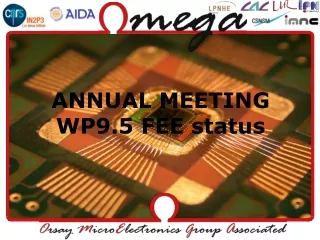 ANNUAL MEETING WP9.5 FEE status