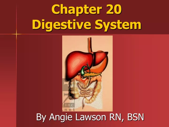 chapter 20 digestive system