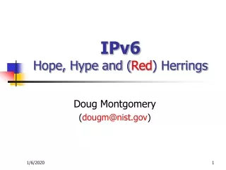 IPv6  Hope, Hype and ( Red ) Herrings