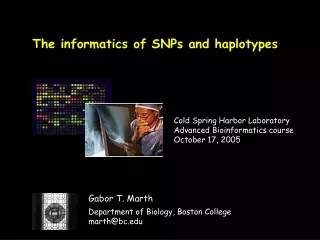 The informatics of SNPs and haplotypes