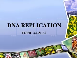 DNA REPLICATION