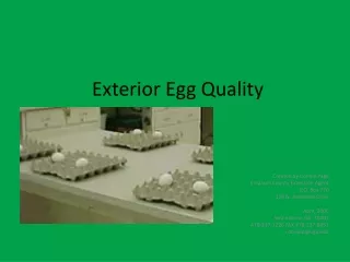 Exterior Egg Quality