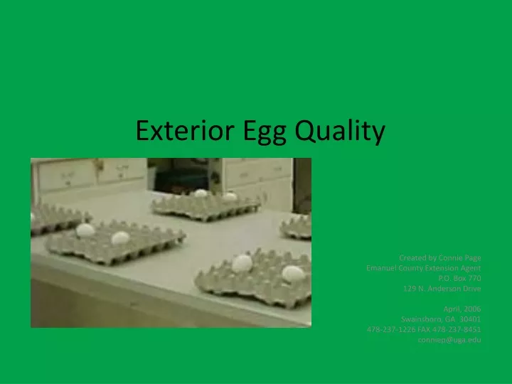 exterior egg quality