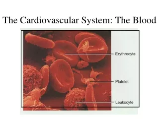 The Cardiovascular System: The Blood