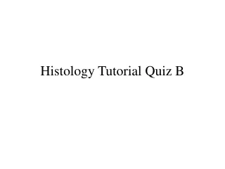 Histology Tutorial Quiz B