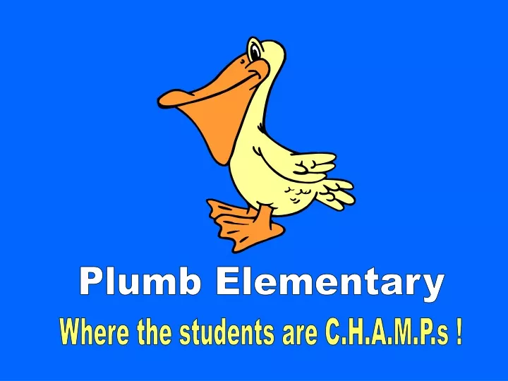 plumb elementary