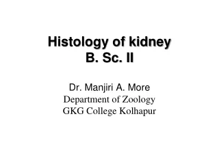 Histology of kidney B. Sc. II Dr.  Manjiri  A. More  Department of Zoology GKG College Kolhapur