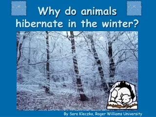 Why do animals hibernate in the winter?