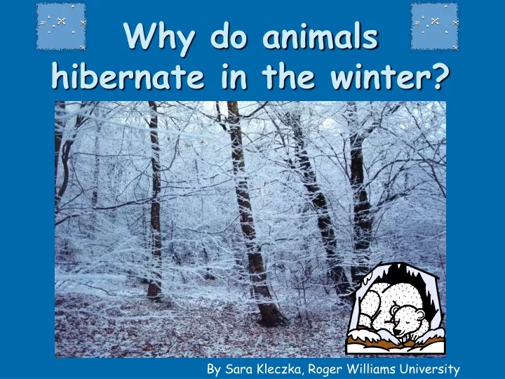 why do animals hibernate in the winter