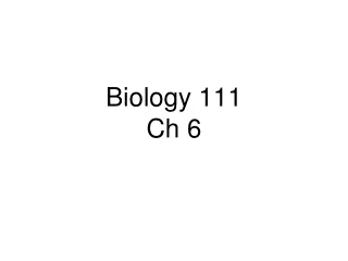 Biology 111 Ch 6
