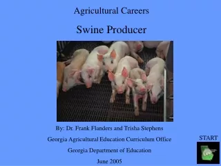 Agricultural Careers Swine Producer