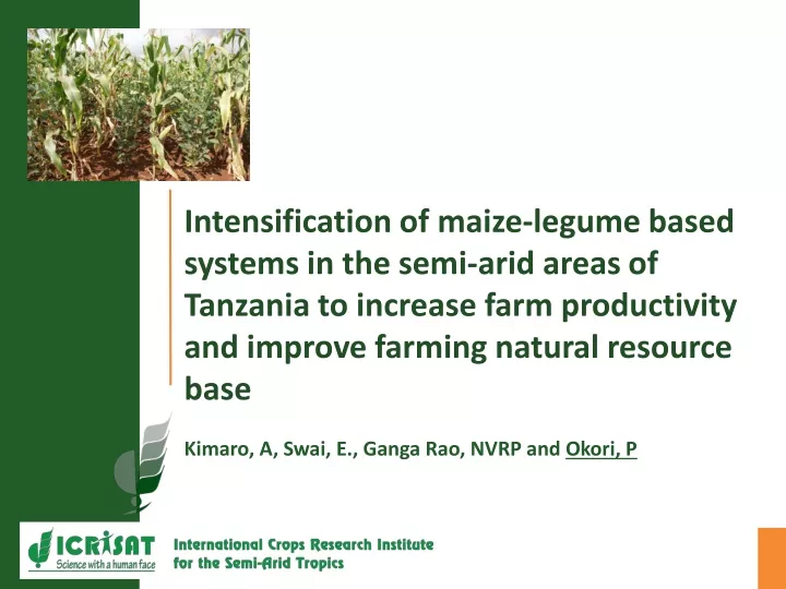 intensification of maize legume based systems