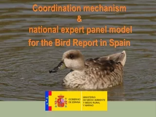 Coordination mechanism  &amp;  national expert panel model  for the Bird Report in Spain