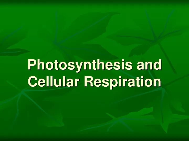 photosynthesis and cellular respiration
