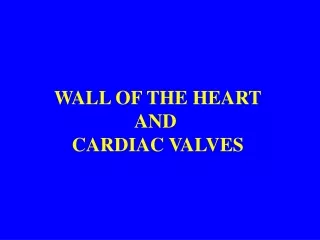WALL OF THE HEART AND  CARDIAC VALVES