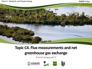 Assessing net uptake of greenhouse gases (GHG) in natural wetlands