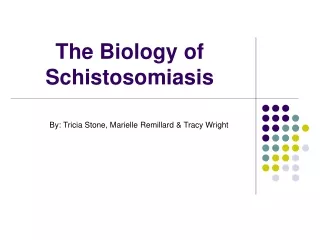 The Biology of Schistosomiasis