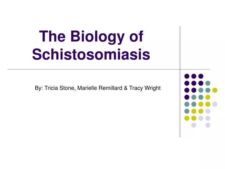 the biology of schistosomiasis